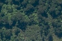0 Neils Beach, Jackson Bay, Haast