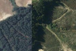 5 Murphys Way, Māpua, Māpua