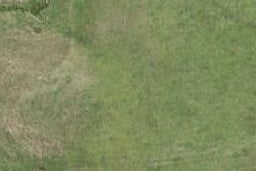 104 Wintour Road, WAIMAUKU, Waimauku
