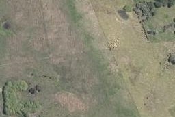 0 State Highway 12, Whirinaki, Whirinaki