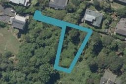 31 Bruce Street, Roslyn, Dunedin