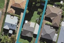 25 Hollywood Avenue, Epsom, Auckland
