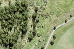 31 Ta Moko Drive, Gulf Harbour, Whangaparaoa