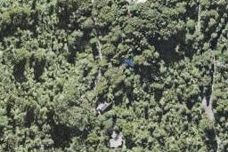 138 Opanuku Road, Henderson Valley, Auckland