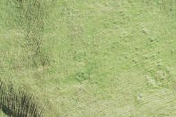 34B Te Aute Ridge Road, Te Henga / Bethells Beach