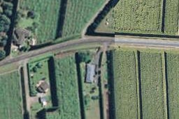 63 Rea Road, Tahawai, Katikati
