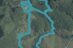 432 Bird Road, Motupipi