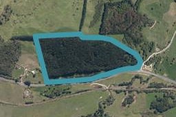 332 Griffin Road, Maungaturoto, Maungaturoto