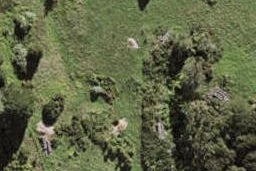 21 Seasons Way, Schnapper Rock, Auckland