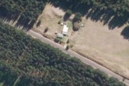612 Brandon Hall Road, Bulls