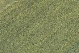 0 Back Ormond Road, Makauri, Gisborne