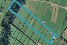 696 Te Matai Road, Te Puke, Te Puke