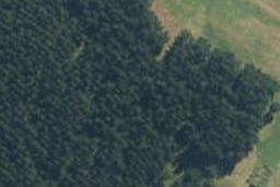 70B East Road, Ruatapu, Ruatapu