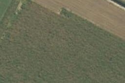 8 Rangitihi Street, Matamata, Matamata