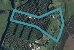 252D Kauri Point Road, Tahawai, Tahawai