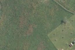 20 Leathem Crescent, Pokeno