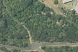 31 Radar Road, Hot Water Beach, Whitianga