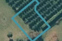 31 Te Ara Matipou, Frimley, Hastings