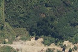 52 Stuart Street, Lake Kaniere, Kokatahi