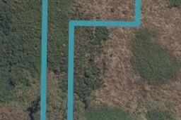 1 Gecko Lane, Hamilton Lake, Hamilton