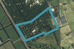 90 Capamagian Drive, Athenree, Katikati