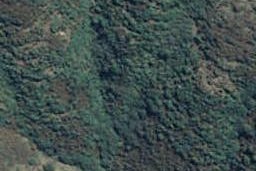 145 Bachelors Road, Little River