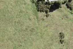 3 Wheki Place, SWANSON, AUCKLAND