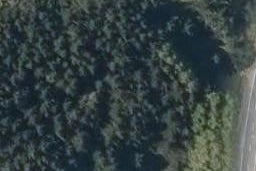 853 State Highway 12, Whirinaki, Whirinaki