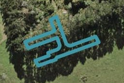 163 Kerepi Street, Westgate, Auckland