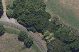 337 Peacockes Road, Peacocke, Hamilton