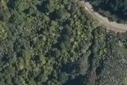 1224 Paponga Road, Kohukohu, Kohukohu