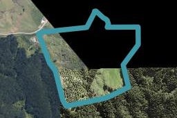 253 Rodney Road, Warkworth