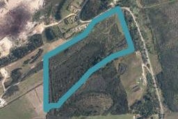 275 Paparore Road, Paparore, Awanui