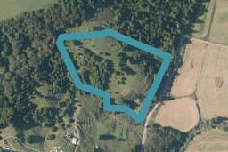 209 Peach Orchard Road, Whakapara, Hikurangi