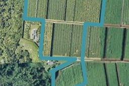 810E Oropi Road, Oropi, Oropi