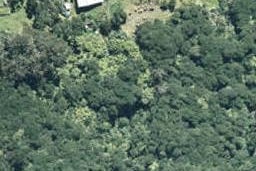 0 Copenhagen Road, Te Kaha, Te Kaha