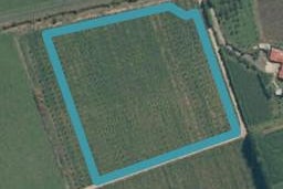 165C Schollum Road, Eureka, Hamilton