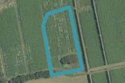 53 Rangiwaea Island, RANGIWAEA ISLAND