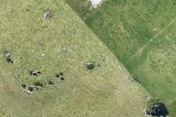 34 Kohekohe Drive, Owhata, Rotorua