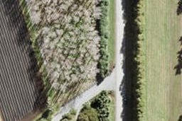 16 Jones Road, Warkworth