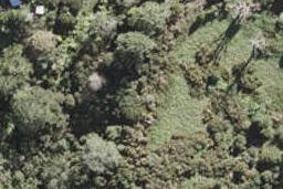 37 Baker Street, Fairview Heights, Auckland