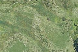 956 State Highway 29, Tauriko, Tauranga