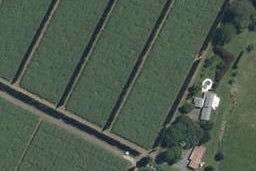 380C Matahui Road, Aongatete, Aongatete