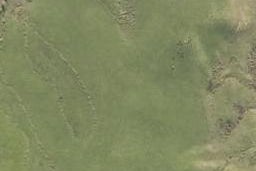 0 State Highway 1, Brynderwyn, Maungaturoto