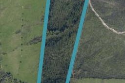 0 State Highway 12, Kaikohe, Kaikohe