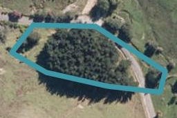 0 Mt Curl Rd, Hunterville, Hunterville