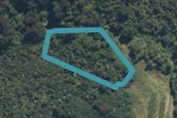56 Stuart Street, Lake Kaniere, Kokatahi