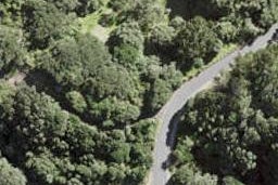 1 Waitea Road, Muriwai, Muriwai