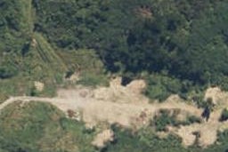 51 Stuart Street, Lake Kaniere, Kokatahi