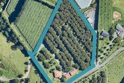 26B PAHOIA ROAD, Whakamarama, Western Bay Of Plenty